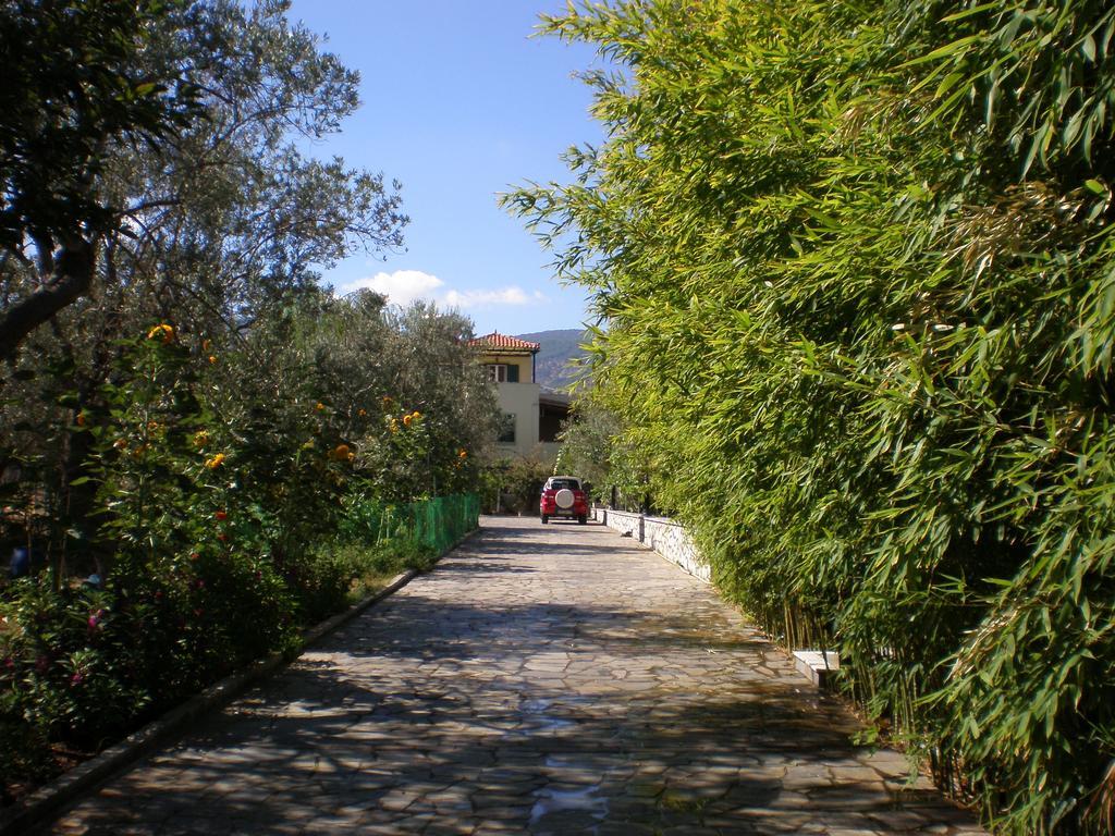 Vasiliki Studios Petra  Bagian luar foto